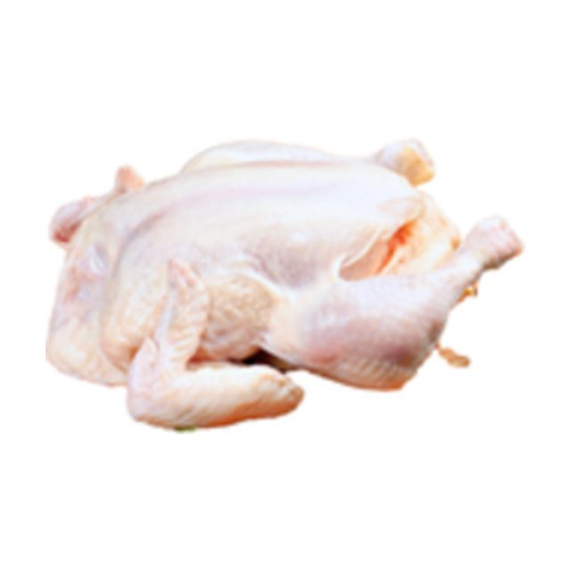 Daging Ayam