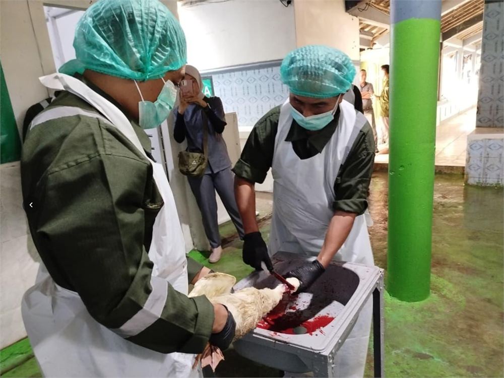 Proses penyembelihan halal di RPU Wahyu Utama